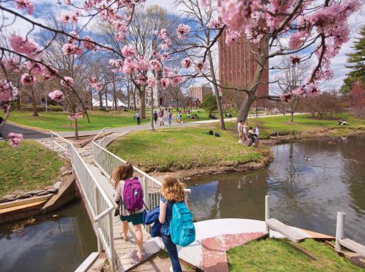 Students walking on bridge over pond on campus during spring